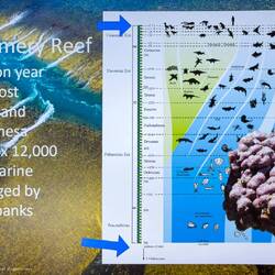 Montgomery Reef is a natural wonder — Kimberley, WA.