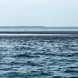Montgomery Reef appears as the tide ebbs — Kimberley, WA.