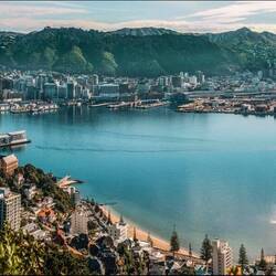 Beautiful Wellington