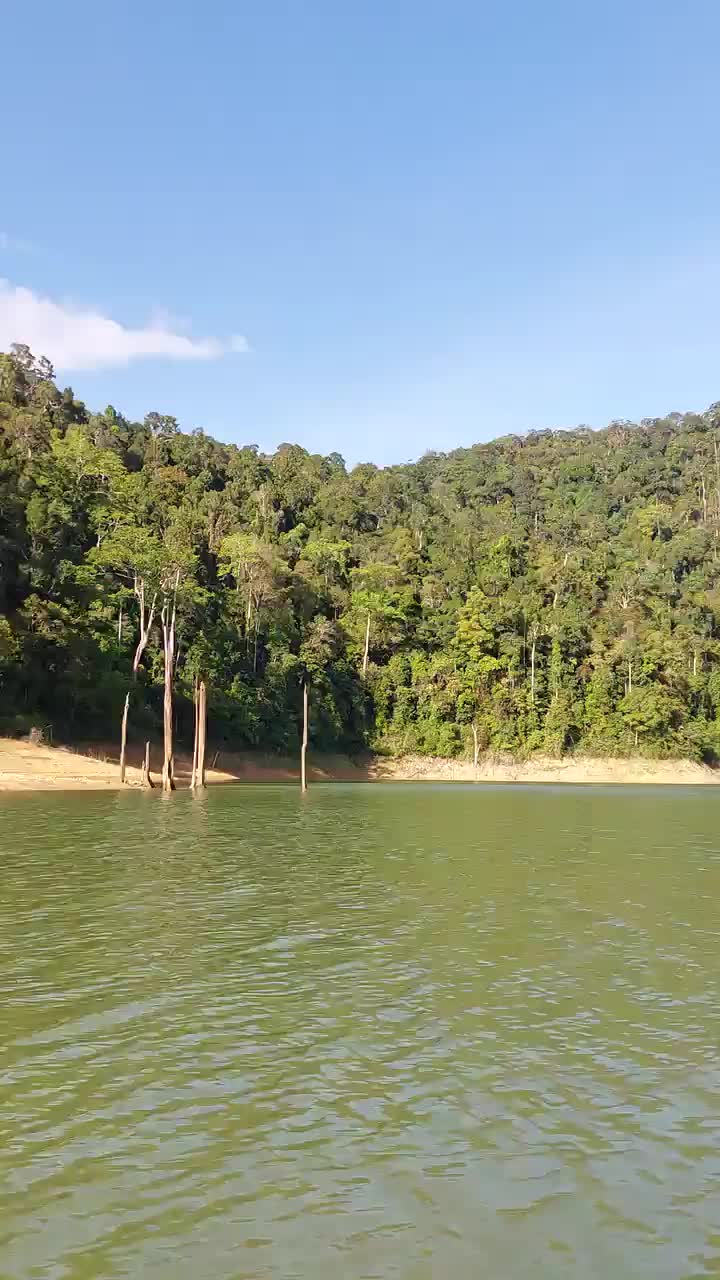 Way to the Nightsafari