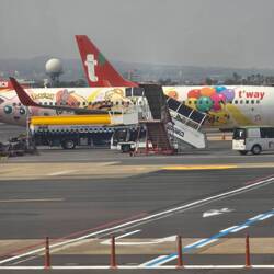 Pokémon-Flugzeug (Japan)
