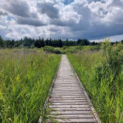 Vom Strand in den Wald zum Shelter