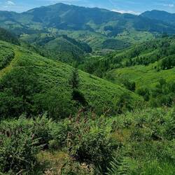 Beautiful mountain views today