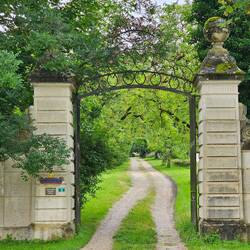 Zufahrt Château d’Azans