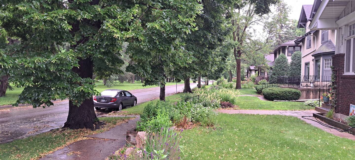 Rainy morning after an hot day with nearly 100° F