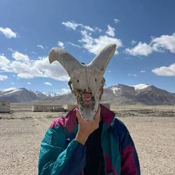 there were a ton of bones everywhere, would've been a cool souvenir but a bit unpractical