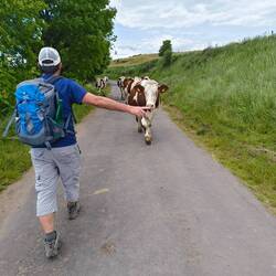 Nouveau métier pour Olivier: Garçon Vacher!