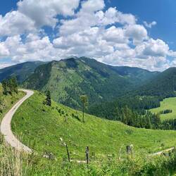 Die Alm ist schon zu sehen.