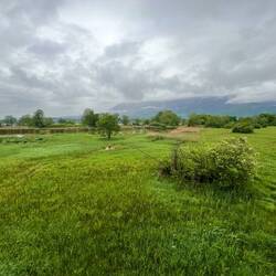 Im sumpfigen Teil der Mündung des Flusses Leysse gibt's ein Naturschutzgebiet.