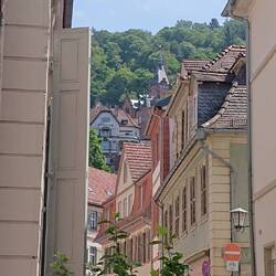 Heidelberg is full of beautiful views like this.