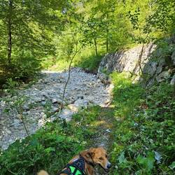 Wo ist der Weg?
