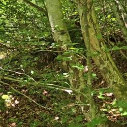 Wo geht's hier raus?