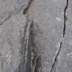 am Ende der Welt, aber nicht allein