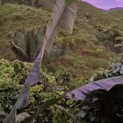 Dafür steht man doch gern um 5:30 auf