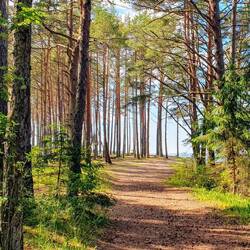 Hier übernachten wir