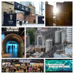 Guinness Storehouse Impressionen