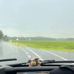 Die Heimat weint um uns...