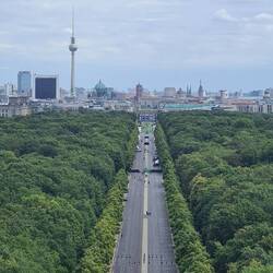 View from the top of the victory column