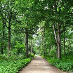 Ride through tiergarten