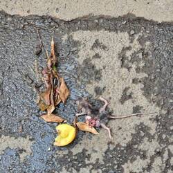 beim Losfahren knarrt es plötzlich...😳