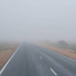 Thick mist this morning...