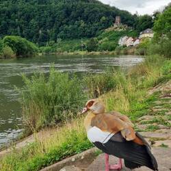 ... und wen haben wir da?