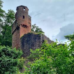 Burgruine Schadeck, das "Schwalbennest"...