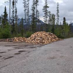 Ein bisschen Feuerholz