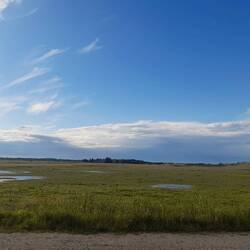 Stellplatz am Jerup-Strand