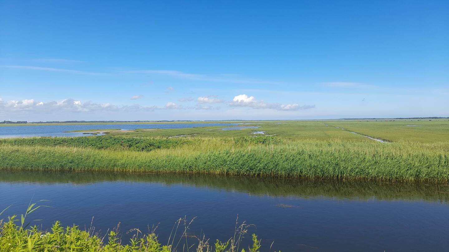 Naturrum Vejlerne - Vogelparadies am Limfjord