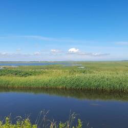 Naturrum Vejlerne - Vogelparadies am Limfjord