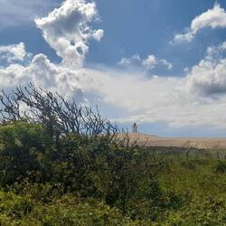 Auf dem Weg zur Wanderdüne beim Rubjerg Knude Fyr