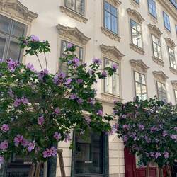 liebe den Vibe dieser Stadt :)