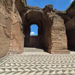 See how tall they are!