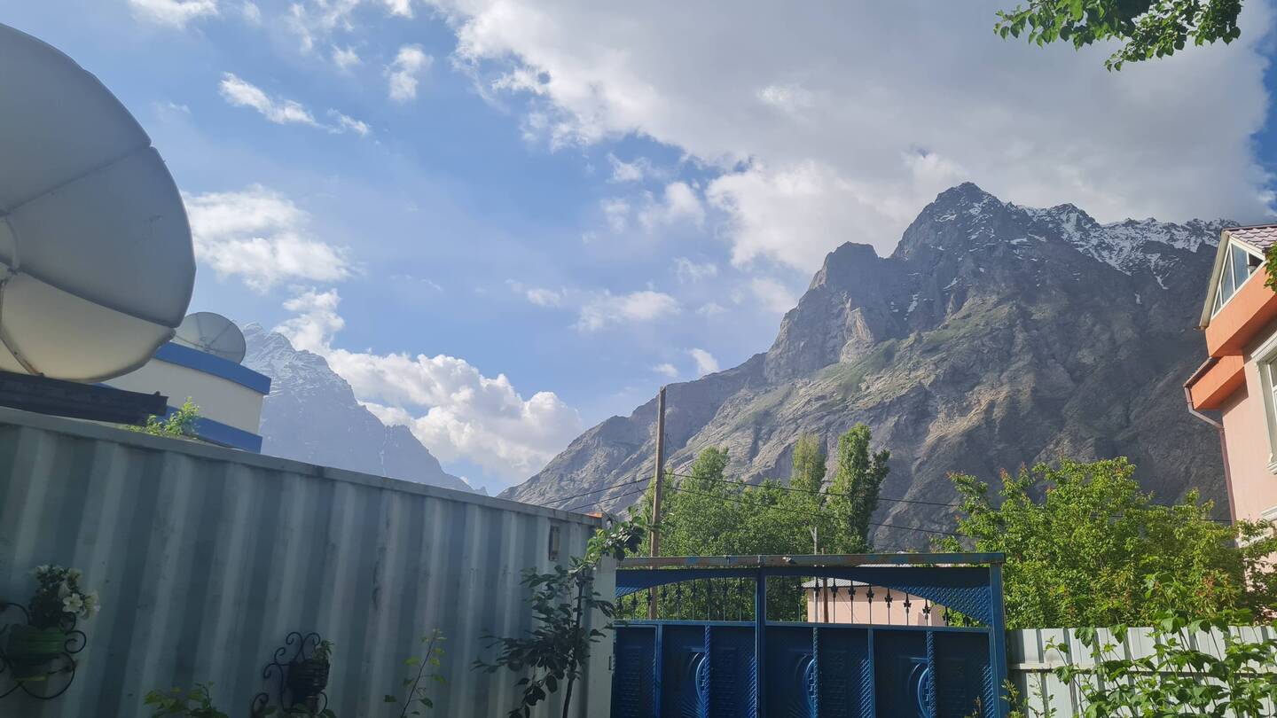 view from the garden