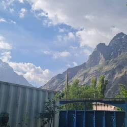view from the garden
