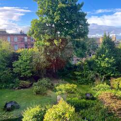 View from the back of the flat into the shared garden