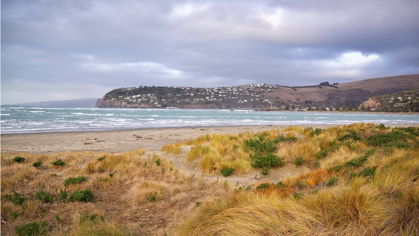 Sumner looking from the spit