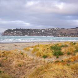 Sumner looking from the spit