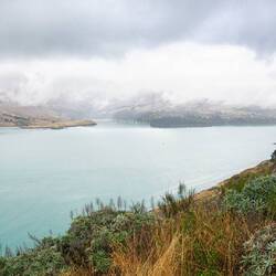 Lyttleton harbour