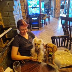 This dog friendly pub provided doggy blankets, biscuits and water bowls