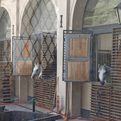 Spanische Reitschule