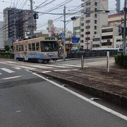 Die Tram, die mit nur einem Wagon verkehrt 😁
