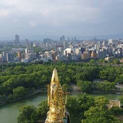 Blick in eine Himmelsrichtung und auf einen der individuellen güldenen Fischdrachen.