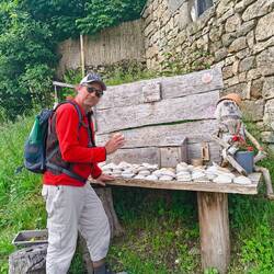 Qui n'a pas encore sa coquille?