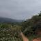 Not the best views, but enjoyable lil hike