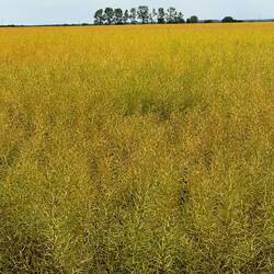 The Meseta can be mind numbing boring