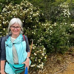 Not sure what type of flowers but the are plentiful, fragrant, and beautiful