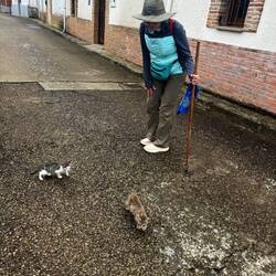 More new friends- lots of feral cats in these small towns