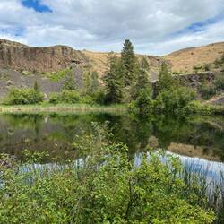 Northrup Lake. Lots of great bird watching here.
